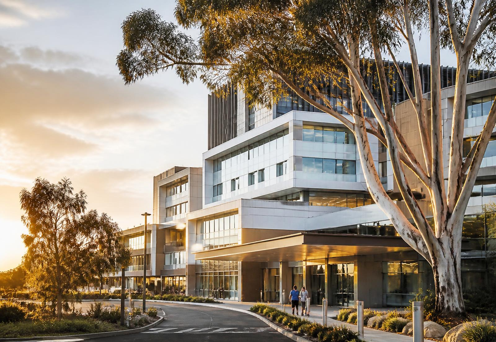Modern Australian hospital entrance framed by eucalyptus trees at golden hour